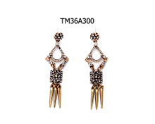 Earrings TM36A300