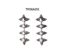 Earrings TM36A291
